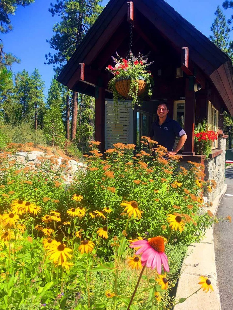 Photo Gallery Glenbrook Homeowners Association